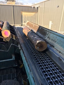 Compressed air is needed for debarking in the forestry industry