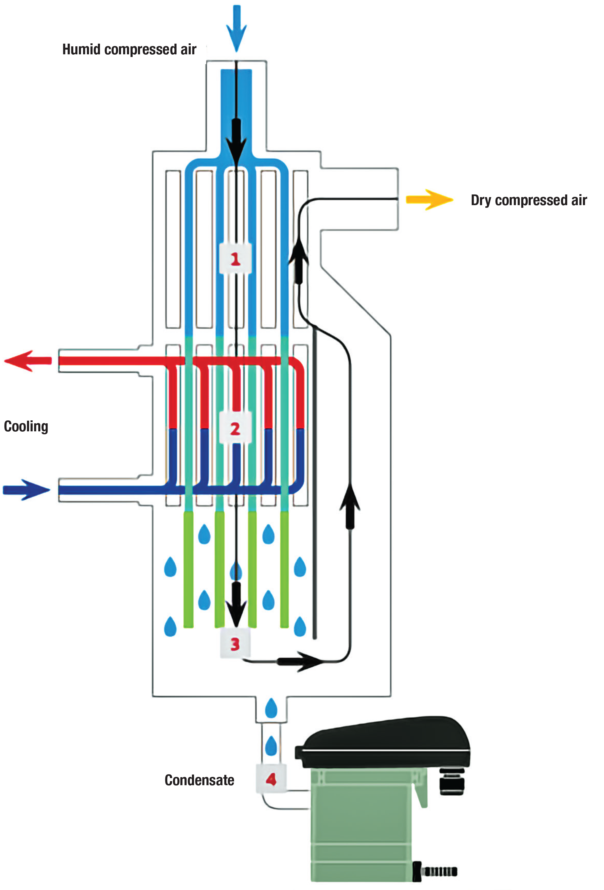 Diagram showing how a refrigerated compressed air dryer works