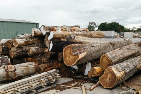 Compressed air is critical in the forestry industry