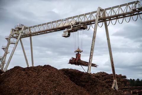 Wood Processing Plant