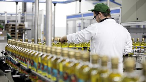 Bottles on a conveyor belt
