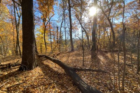 A view of the International Friendship Botanic Gardens and Event Center